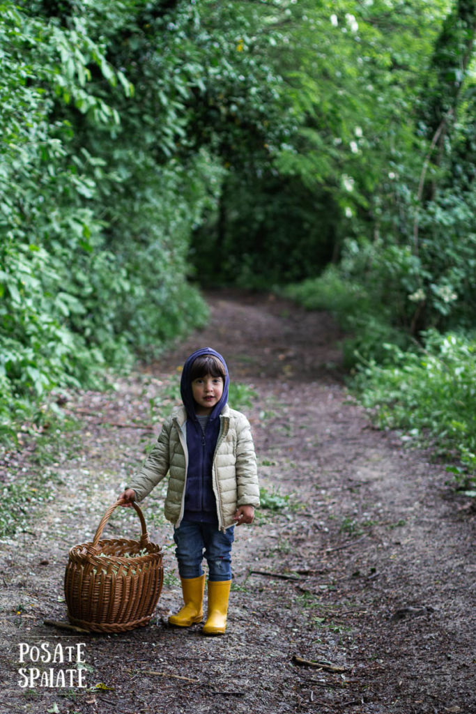 passeggiata nel bosco